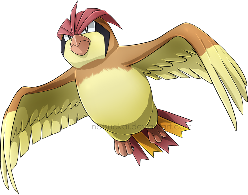 pidgeotto